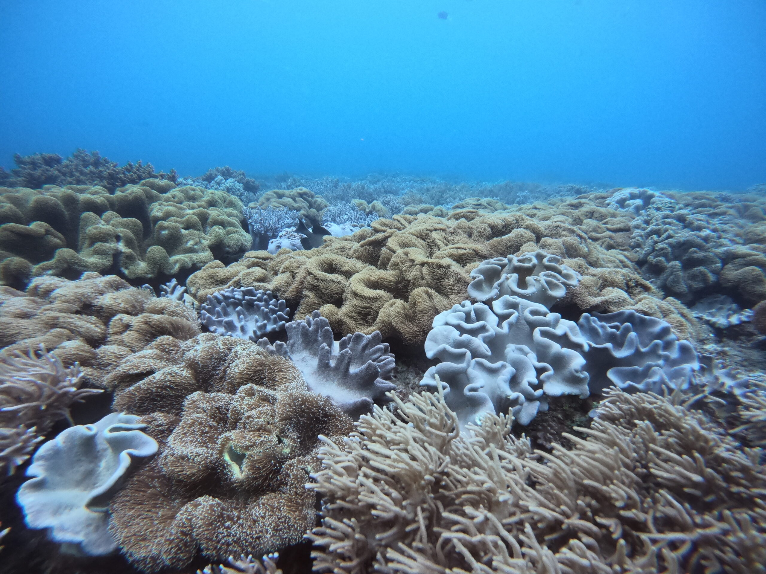 海の景色イメージ