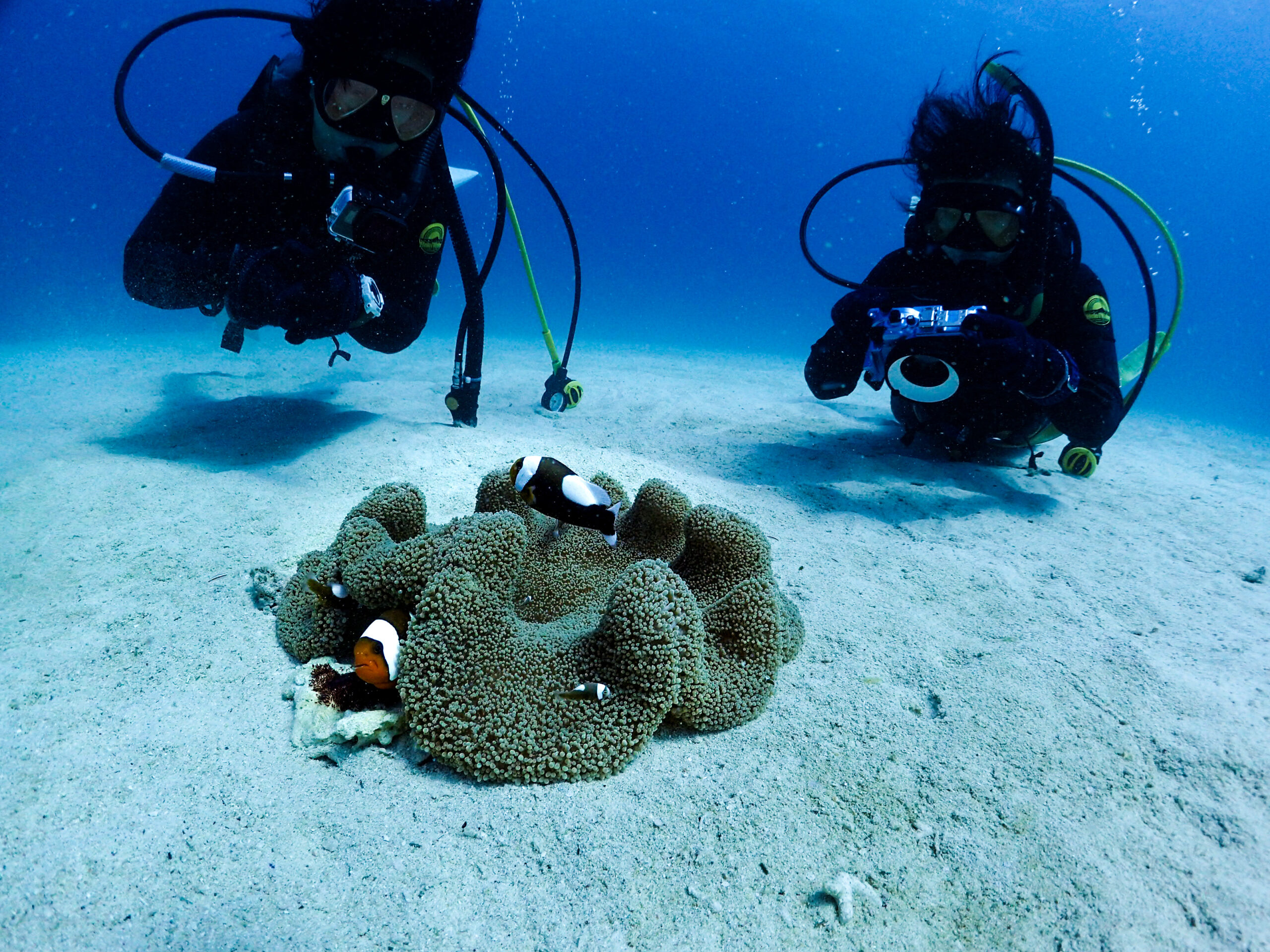 ライセンス取得後のイメージ