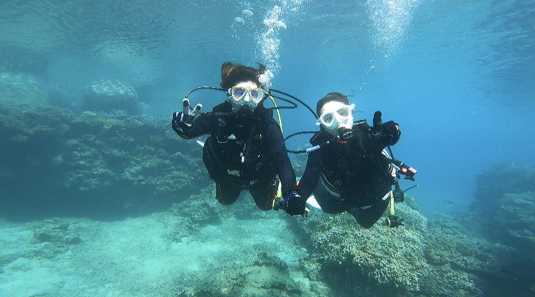 ダイビングライセンス講習のイメージ写真