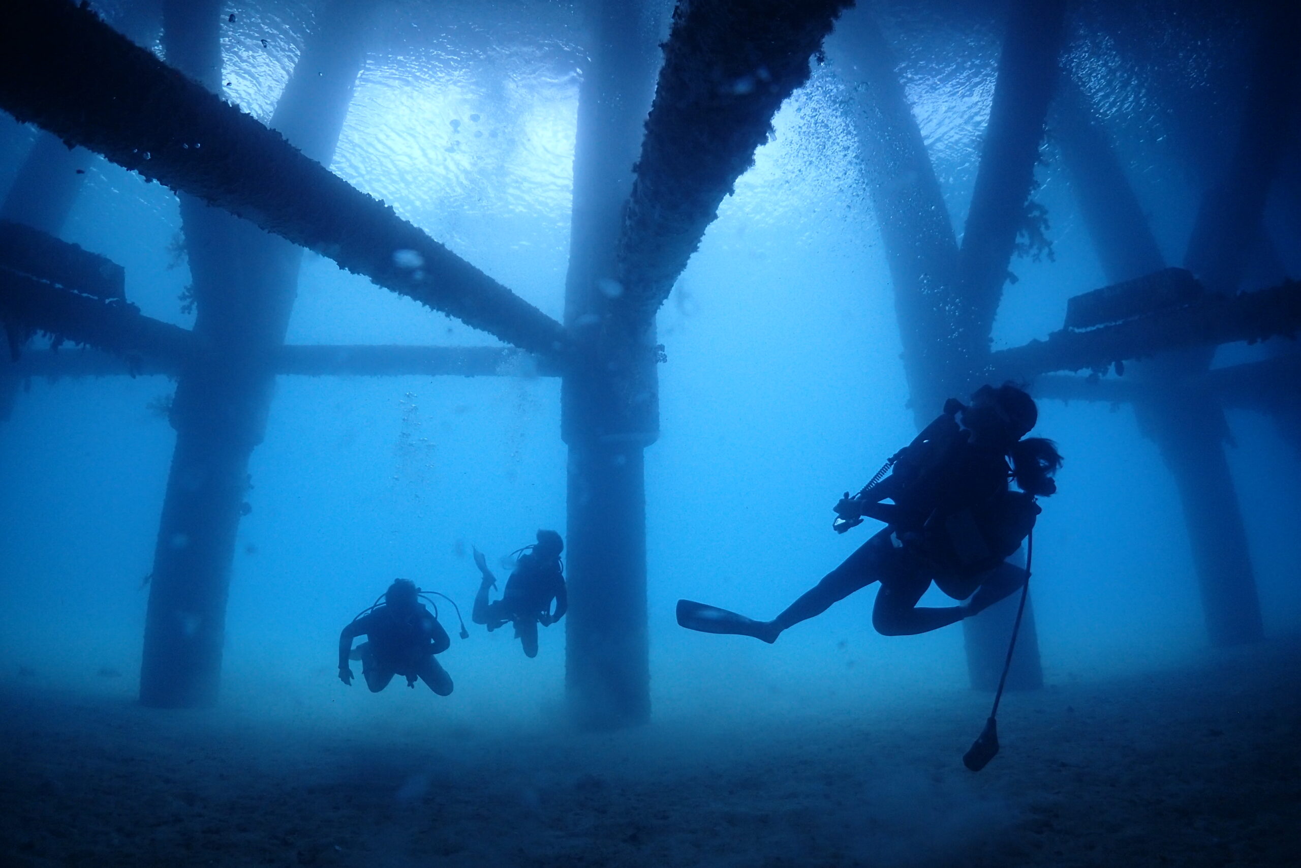 水中で楽しむゲストの様子